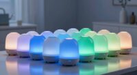 top portable diffuser picks