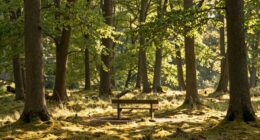 transforming quiet into comfort