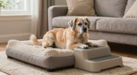 comfort and mobility support