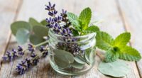 morning inhaler blend recipe