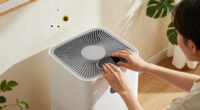 10 Best Air Purifier for Mold Spores in 2026