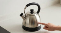10 Best Best Electric Tea Kettle Premium in 2026