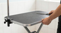 10 Best Pet Grooming Table Folding in 2026