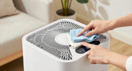 11 Best Air Purifier For Pet Dander And Odor In 2026