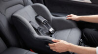11 Best Best Dog Car Seat Premium in 2026