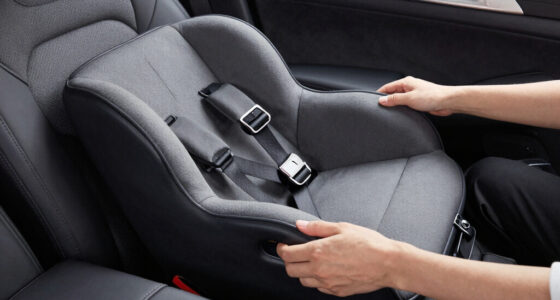 11 Best Best Dog Car Seat Premium in 2026