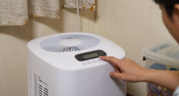 13 Best Dehumidifier For Musty Room In 2026