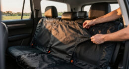 13 Best Pet Seat Cover for SUV in 2026