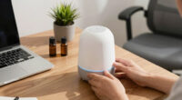 13 Best Scent Machine for Home Office in 2026