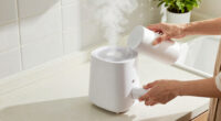 13 Best Whole Home Portable Humidifier in 2026