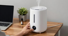 14 Best Best Desk Humidifier Premium in 2026
