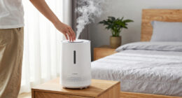 7 Best Cool Mist Humidifier for Bedroom in 2026
