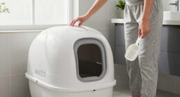 7 Best Self Cleaning Litter Box Premium in 2026
