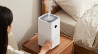 8 Best Air Purifier and Humidifier Combo in 2026