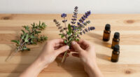 14 Best Fragrant Plants for Scented Gardens in 2026