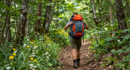 3 Ways to Put the Wild Back in Hiking
