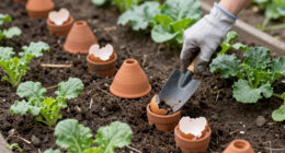 14 Best Slug Traps for Gardens in 2026