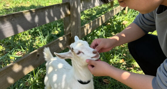 Baby Goats From A Traveling Petting Zoo Test Positive For Rabies