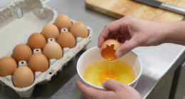 Salmonella Outbreak Linked To Eggs