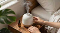 15 Best Essential Oil Diffuser Humidifiers for 2027