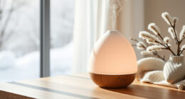 AROMADD Smart Scent Diffuser: A Winter Black Friday Buy?