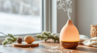 AROMADD Smart Scent Diffuser: A Winter Use Review