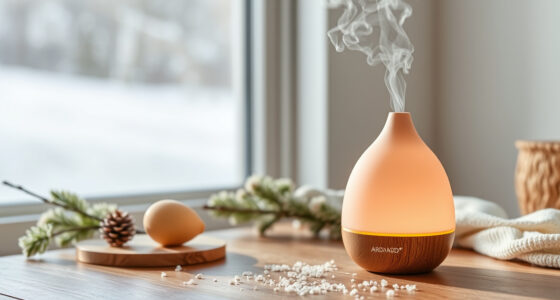 AROMADD Smart Scent Diffuser: A Winter Use Review