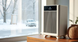 PuroAir 240 Review: A Winter Black Friday Buy or Wait?