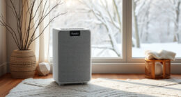 PuroAir 240 Winter Care: Keep the Airflow Steady